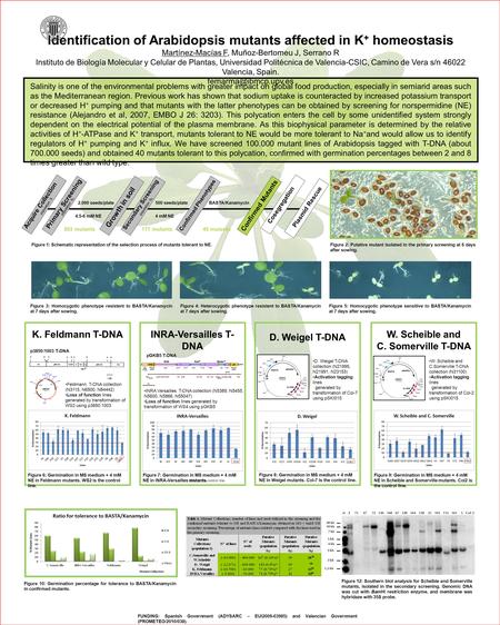 Salinity is one of the environmental problems with greater impact on global food production, especially in semiarid areas such as the Mediterranean region.