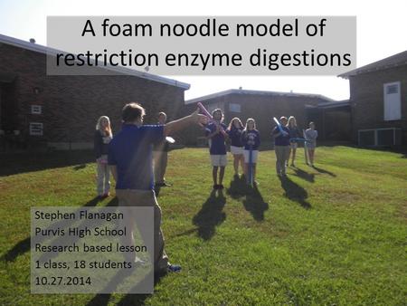 A foam noodle model of restriction enzyme digestions Stephen Flanagan Purvis High School Research based lesson 1 class, 18 students 10.27.2014.