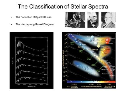 The Classification of Stellar Spectra The Formation of Spectral Lines The Hertzsprung-Russell Diagram.