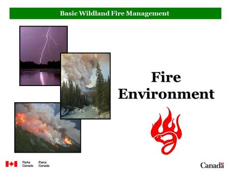 Basic Wildland Fire Management