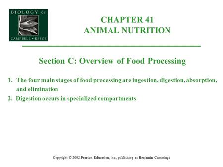 CHAPTER 41 ANIMAL NUTRITION Copyright © 2002 Pearson Education, Inc., publishing as Benjamin Cummings Section C: Overview of Food Processing 1.The four.