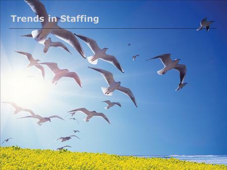 Trends in Staffing. 2 Pragya What will we cover today… Recent Trends in Recruitment  Outsourcing  Poaching  E-recruitment  Big Data Analytics  Alternative.