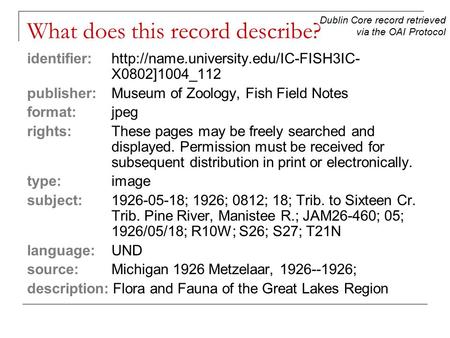 What does this record describe? identifier:  X0802]1004_112 publisher: Museum of Zoology, Fish Field Notes format:jpeg.