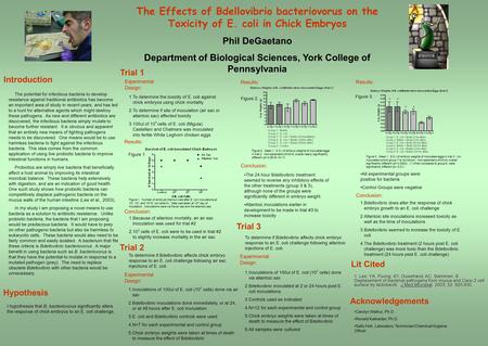 The Effects of Bdellovibrio bacteriovorus on the Toxicity of E. coli in Chick Embryos Phil DeGaetano Department of Biological Sciences, York College of.