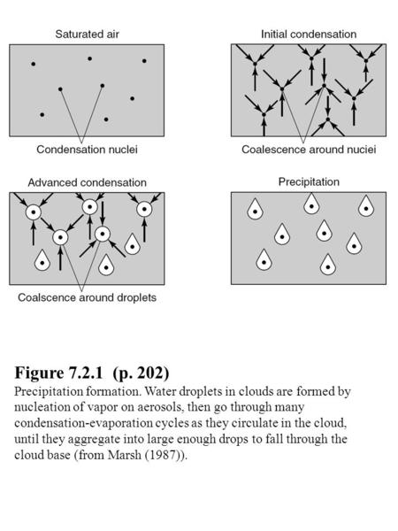 Figure 7.2.1 (p. 202) Precipitation formation. Water droplets in clouds are formed by nucleation of vapor on aerosols, then go through many condensation-evaporation.