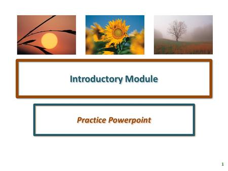 1 Introductory Module Practice Powerpoint 2 Highlighting When an important term or concept is presented in one of my powerpoint presentations, it will.