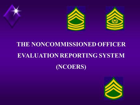 THE NONCOMMISSIONED OFFICER EVALUATION REPORTING SYSTEM