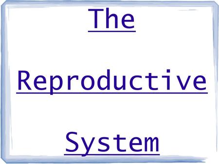 The Reproductive System