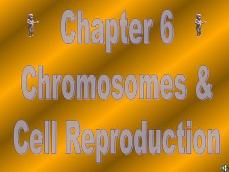 About 2 trillion cells are produced By an adult human body everyday! This is about 2 million new cells Every second!!