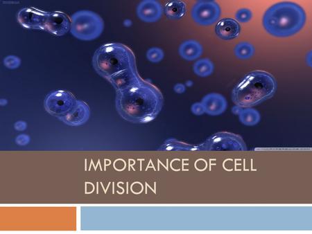 IMPORTANCE OF CELL DIVISION.  Think about the last time you had a sun burn and your skin peeled off.  What if new skin cells didn’t replace the dead.