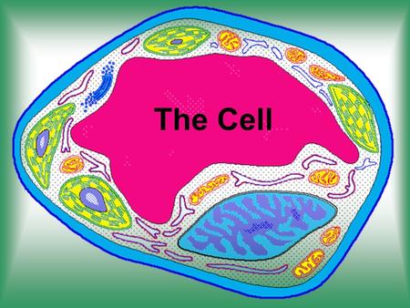 The Cell. Definition of Cell note: only write down text in red A cell is the smallest unit that is capable of performing life functions.