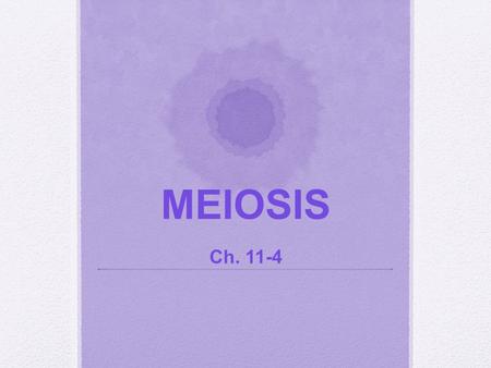 MEIOSIS Ch. 11-4. Bill Nye Meiosis Movie I. General Info A. Two types of body cells: 1. Somatic cells a) Any non-sex cell (e.g. liver, eye, heart, brain)