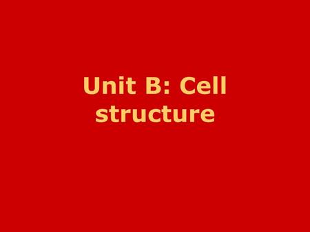 Unit B: Cell structure. Animal cell Liver Cell Cell membrane.