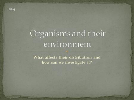 What affects their distribution and how can we investigate it? B2.4.