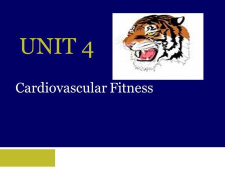 UNIT 4 Cardiovascular Fitness. Objectives  Learn how to measure your pulse rate as well as the rate at which your heart should be exercised.  Understand.