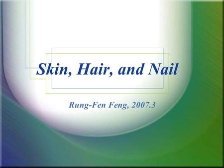 Skin, Hair, and Nail Rung-Fen Feng, 2007.3. Functions of the Skin Protection Sensory perception Temperature & blood pressure regulation Vitamin synthesis.