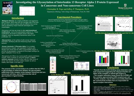 Investigating the Glycosylation of Interleukin 13 Receptor Alpha 2 Protein Expressed in Cancerous and Non-cancerous Cell Lines Christopher R. Pope and.