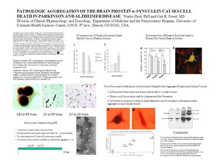 PATHOLOGIC AGGREGATION OF THE BRAIN PROTEIN  -SYNUCLEIN CAUSES CELL DEATH IN PARKINSON AND ALZHEIMER DISEASE, Wenbo Zhou, PhD and Curt R. Freed, MD Division.