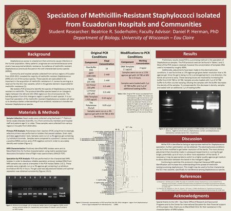 Speciation of Methicillin-Resistant Staphylococci Isolated from Ecuadorian Hospitals and Communities Student Researcher: Beatrice R. Soderholm; Faculty.