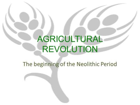 AGRICULTURAL REVOLUTION The beginning of the Neolithic Period.