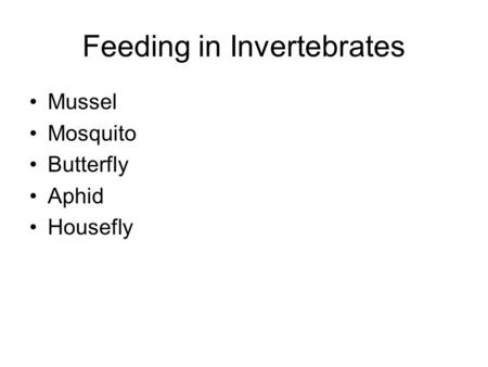 Feeding in Invertebrates Mussel Mosquito Butterfly Aphid Housefly.