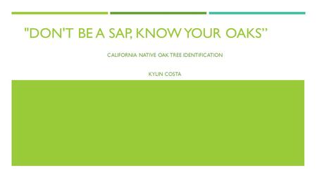 DON'T BE A SAP, KNOW YOUR OAKS” CALIFORNIA NATIVE OAK TREE IDENTIFICATION KYLIN COSTA.