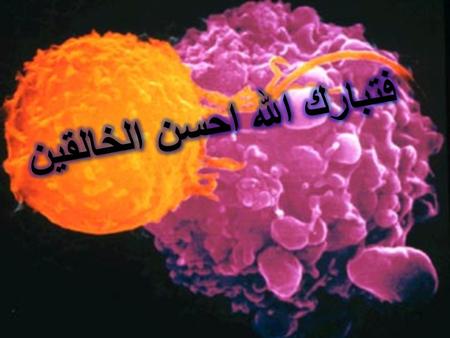 1. p53 Structure, Function and Therapeutic Applications Provider: Dr.Davood Nourabadi(PhD,medical physiology) mdphysiology.persianblog.ir.