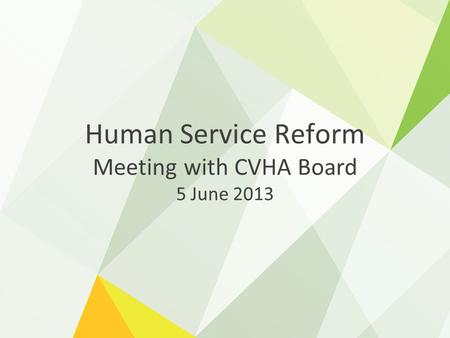 Human Service Reform Meeting with CVHA Board 5 June 2013.