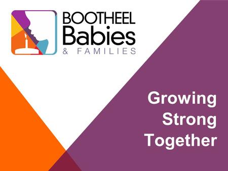 Growing Strong Together. 2 What is Bootheel Babies and Families Collective Impact In A Nutshell Role of Backbone Info/Data We Know To Date Grantees In.