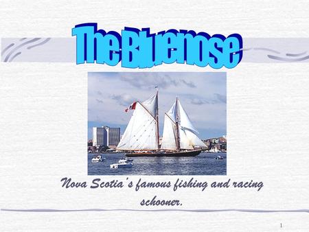 1 Nova Scotia’s famous fishing and racing schooner.