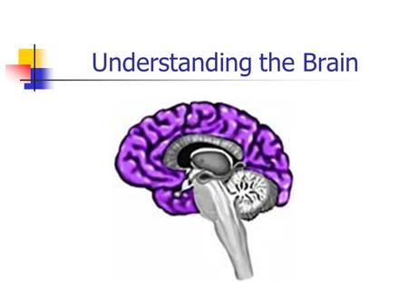 Understanding the Brain. Electroencephalograph (EEG) Monitors the electrical activity of the brain EEG recordings are translated into line tracings called.