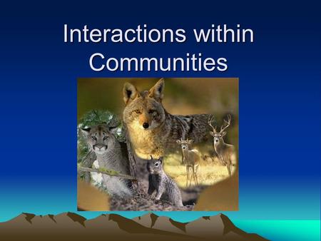 Interactions within Communities