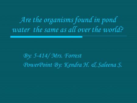  Are the organisms found in pond water the same as all over the world? By: 5-414/ Mrs. Forrest PowerPoint By: Kendra H. & Saleena S.