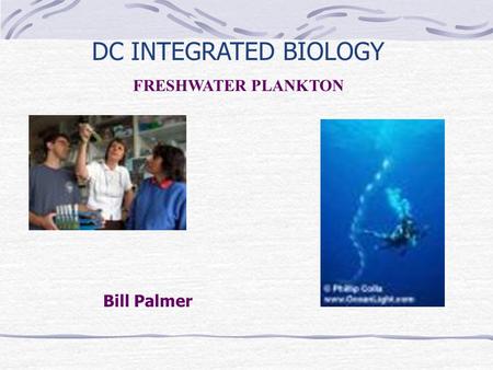 Bill Palmer DC INTEGRATED BIOLOGY FRESHWATER PLANKTON.