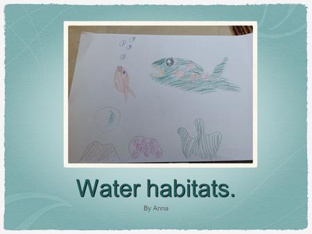 Water habitats. By Anna. I Chose Animals From A Pond.