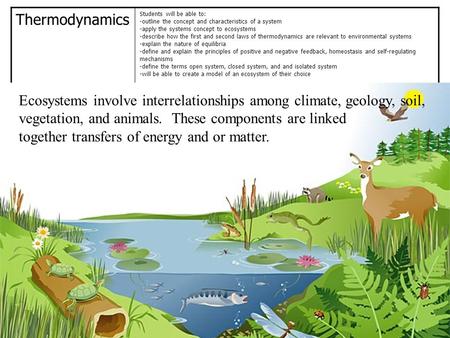 Thermodynamics Students will be able to: -outline the concept and characteristics of a system -apply the systems concept to ecosystems -describe how the.