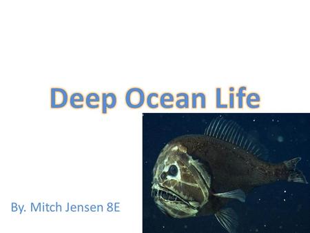 By. Mitch Jensen 8E. Vampire Squid Moon Jelly Angler Fish Frilled Shark Six-Gill Shark Concepts on Deep Sea Life How they Impact them How they Impact.