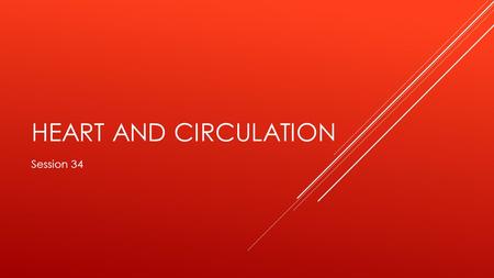 HEART AND CIRCULATION Session 34. OBJECTIVES  Describe the structure of the heart and its anatomical orientation (valves, muscles, tendinous cords, wall.