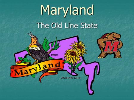 Maryland The Old Line State. The Maryland flag contains the family crest of the Calvert and Crossland families. Maryland was founded as an English colony.