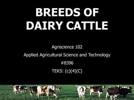 Photo by Lynn Betts courtesy of USDA Natural Resources Conservation Service. BREEDS OF DAIRY CATTLE Agriscience 102 Applied Agricultural Science and Technology.