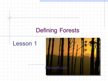 Defining Forests Lesson 1 Microsoft.com. Common Core/Next Generation Science Standards Addressed! HS-LS2-6.Evaluate the claims, evidence, and reasoning.