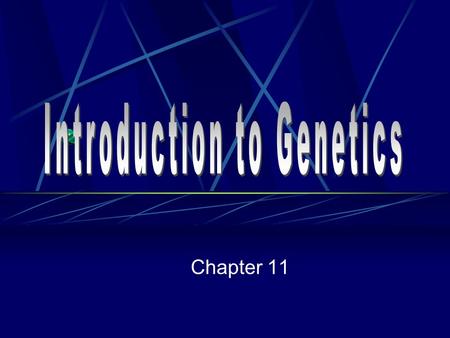 Chapter 11 What is genetics? The scientific study of heredity.