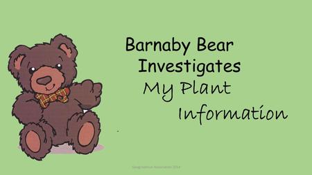 Barnaby Bear Investigates My Plant Information - Geographical Association 2014.