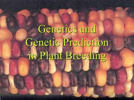 Genetics and Genetic Prediction in Plant Breeding