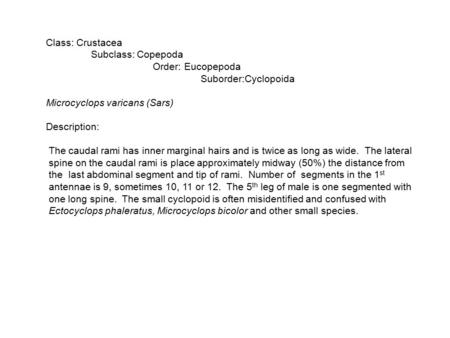 Class: Crustacea Subclass: Copepoda Order: Eucopepoda