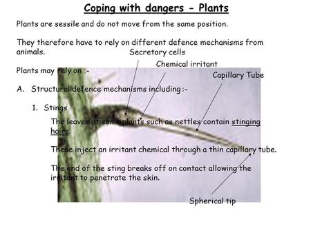 Plants are sessile and do not move from the same position. They therefore have to rely on different defence mechanisms from animals. Plants may rely on.