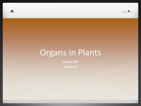 Organs in Plants Packet #53 Chapter #. Introduction There are four major organs of a plant Flower* (Not all plants) Stem Leaf Root.