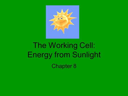 The Working Cell: Energy from Sunlight