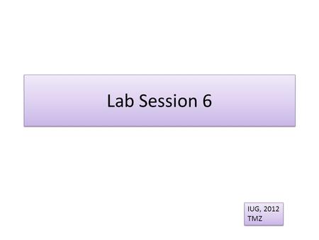 Lab Session 6 IUG, 2012 TMZ IUG, 2012 TMZ. Analysis of pigments and Oxidation processes in photosynthetic organisms.