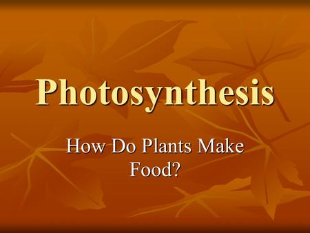 Photosynthesis How Do Plants Make Food?. Questions To Think About What happens inside plants when the sun is shining or when it is raining? What happens.